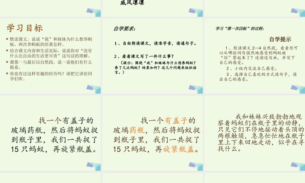 六年级语文上册 囚蚁课件3 鄂教版-鄂教版小学六年级上册语文课件