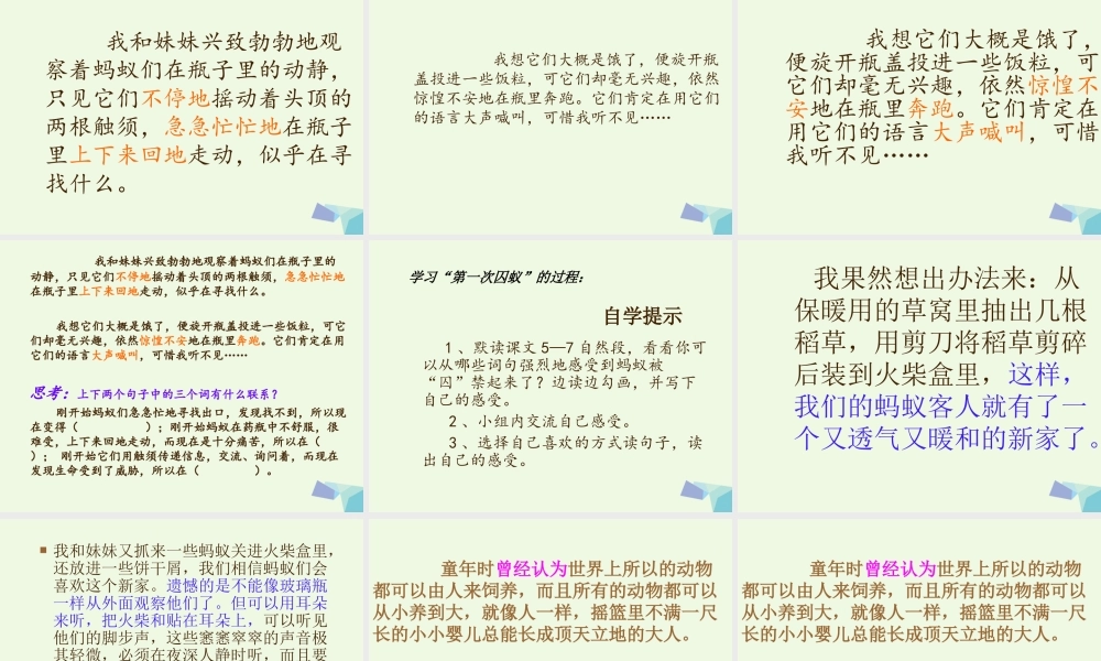 六年级语文上册 囚蚁课件3 鄂教版-鄂教版小学六年级上册语文课件