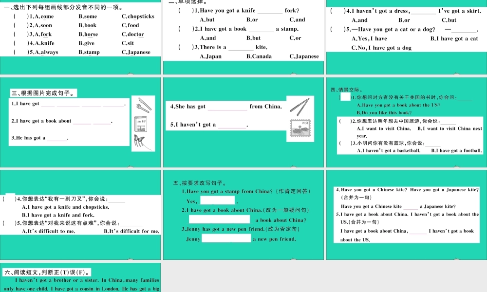 六年级英语上册 Module 6 Unit 2 I've got a stamp from China作业课件 外研版（三起）-外研版小学六年级上册英语课件