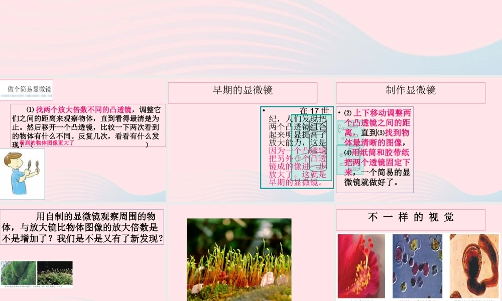 六年级科学下册 第一单元 微小世界 4怎样放得更大课件1 教科版-教科版小学六年级下册自然科学课件