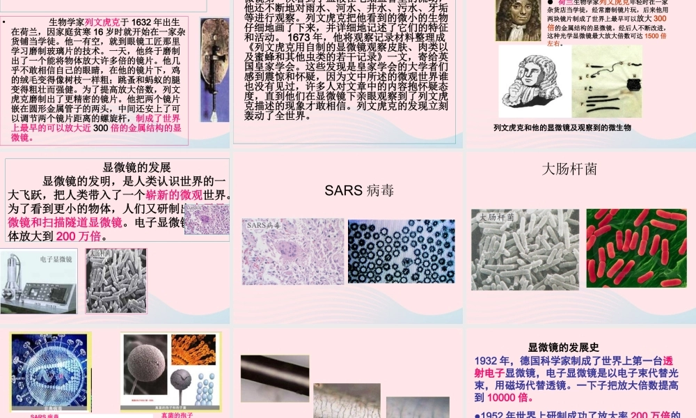 六年级科学下册 第一单元 微小世界 4怎样放得更大课件1 教科版-教科版小学六年级下册自然科学课件