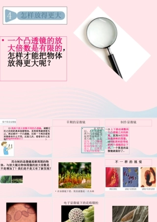 六年级科学下册 第一单元 微小世界 4怎样放得更大课件1 教科版-教科版小学六年级下册自然科学课件