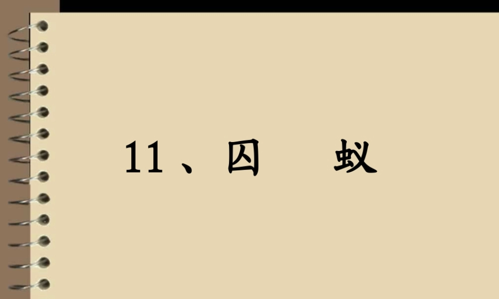 六年级语文上册 囚蚁课件4 鄂教版-鄂教版小学六年级上册语文课件