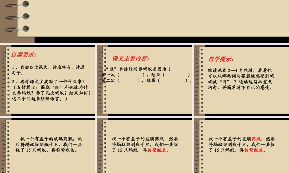 六年级语文上册 囚蚁课件4 鄂教版-鄂教版小学六年级上册语文课件