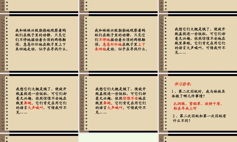 六年级语文上册 囚蚁课件4 鄂教版-鄂教版小学六年级上册语文课件