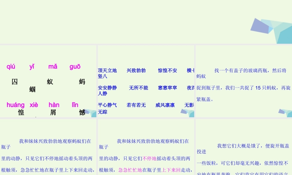 六年级语文上册 囚蚁课件5 鄂教版-鄂教版小学六年级上册语文课件