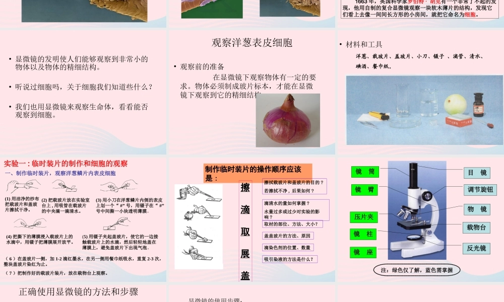 六年级科学下册 第一单元 微小世界 5 用显微镜观察身边的生命世界(一)课件1 教科版-教科版小学六年级下册自然科学课件