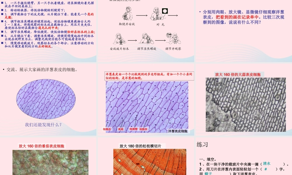 六年级科学下册 第一单元 微小世界 5 用显微镜观察身边的生命世界(一)课件1 教科版-教科版小学六年级下册自然科学课件