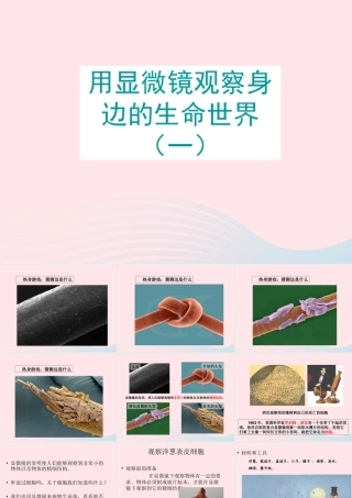 六年级科学下册 第一单元 微小世界 5 用显微镜观察身边的生命世界(一)课件1 教科版-教科版小学六年级下册自然科学课件