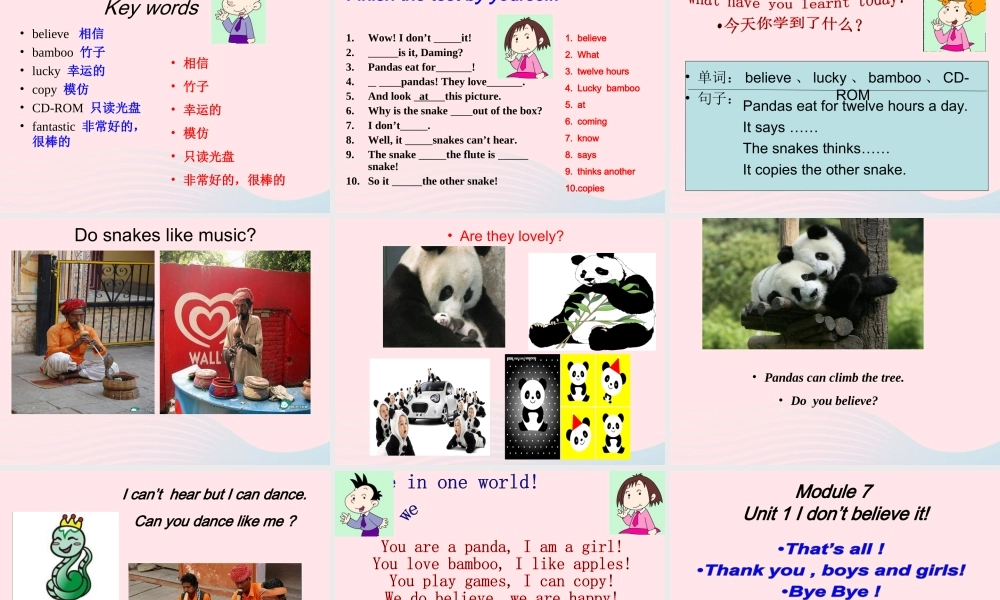 六年级英语上册 Module 7 Unit 1 I don't believe it课件  外研版（三起）-外研版小学六年级上册英语课件