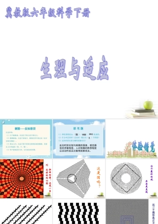 六年级科学下册 生理与适应1课件 冀教版