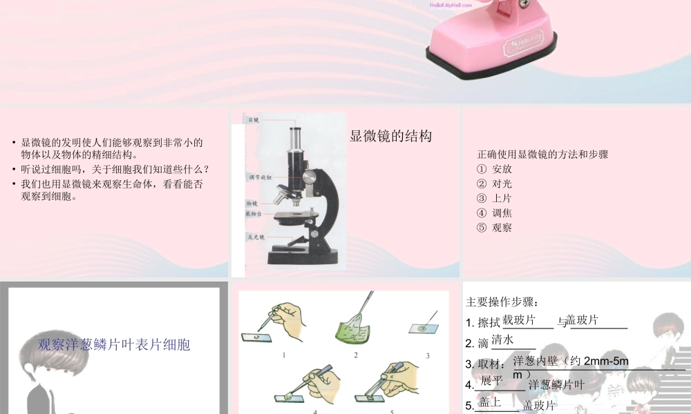 六年级科学下册 第一单元 微小世界 5 用显微镜观察身边的生命世界(一)课件2 教科版-教科版小学六年级下册自然科学课件