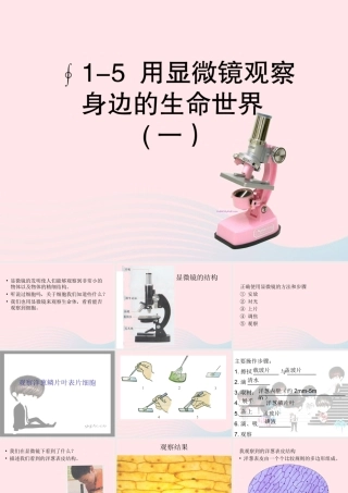 六年级科学下册 第一单元 微小世界 5 用显微镜观察身边的生命世界(一)课件2 教科版-教科版小学六年级下册自然科学课件