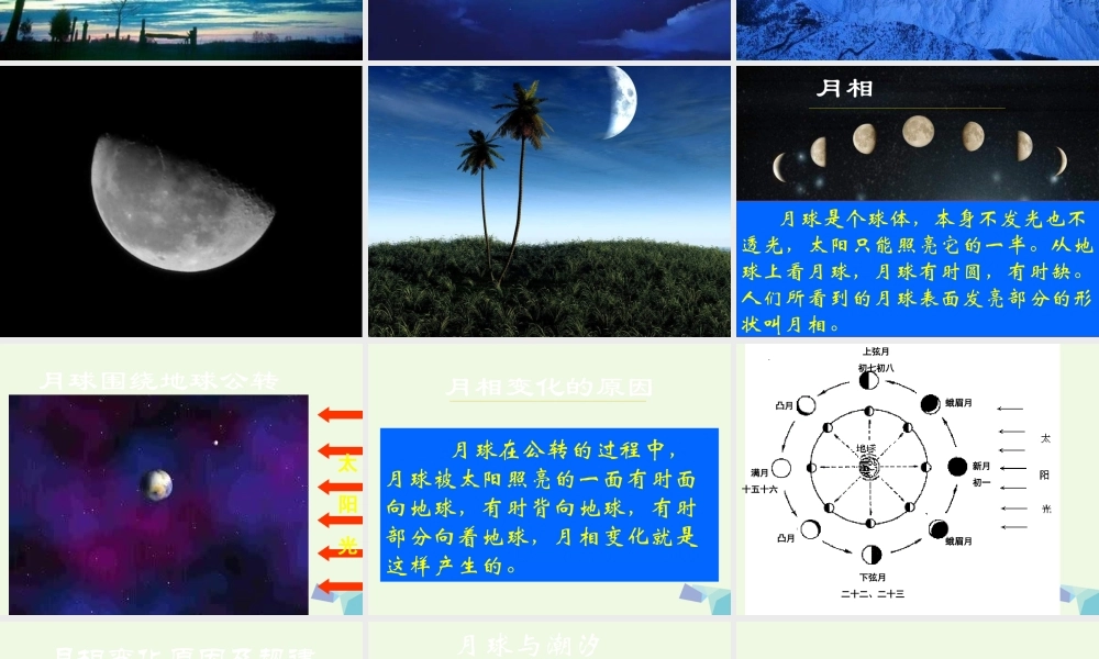 六年级科学上册 弯弯的月亮课件1 青岛版-青岛版小学六年级上册自然科学课件