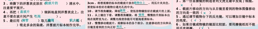 六年级科学下册 第一单元 微小世界 5 用显微镜观察身边的生命世界(一)课件3 教科版-教科版小学六年级下册自然科学课件