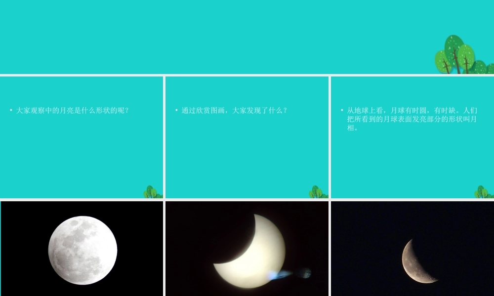 六年级科学上册 弯弯的月亮课件2 青岛版-青岛版小学六年级上册自然科学课件