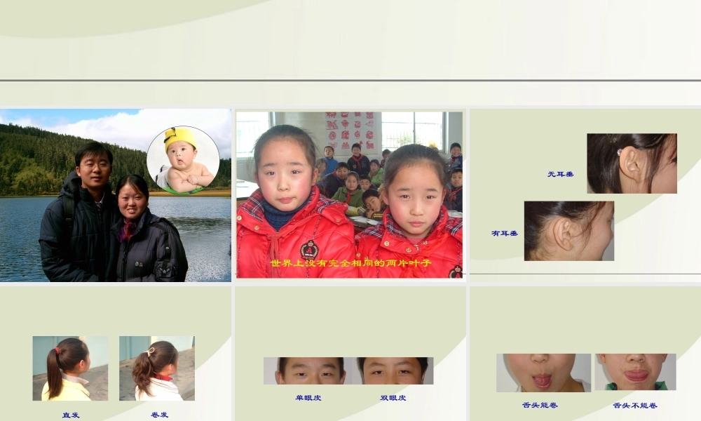 六年级科学下册 生物的变异现象 1课件 苏教版