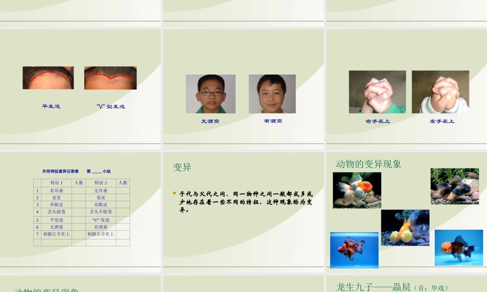 六年级科学下册 生物的变异现象 1课件 苏教版