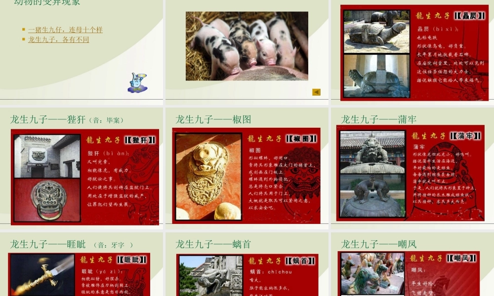 六年级科学下册 生物的变异现象 1课件 苏教版