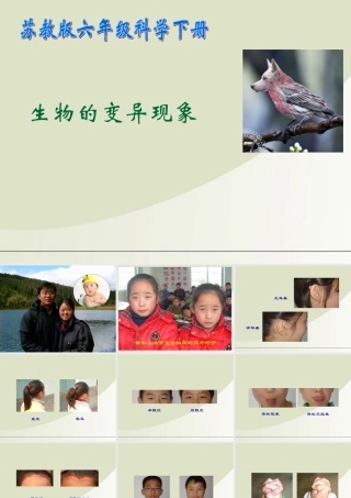 六年级科学下册 生物的变异现象 1课件 苏教版