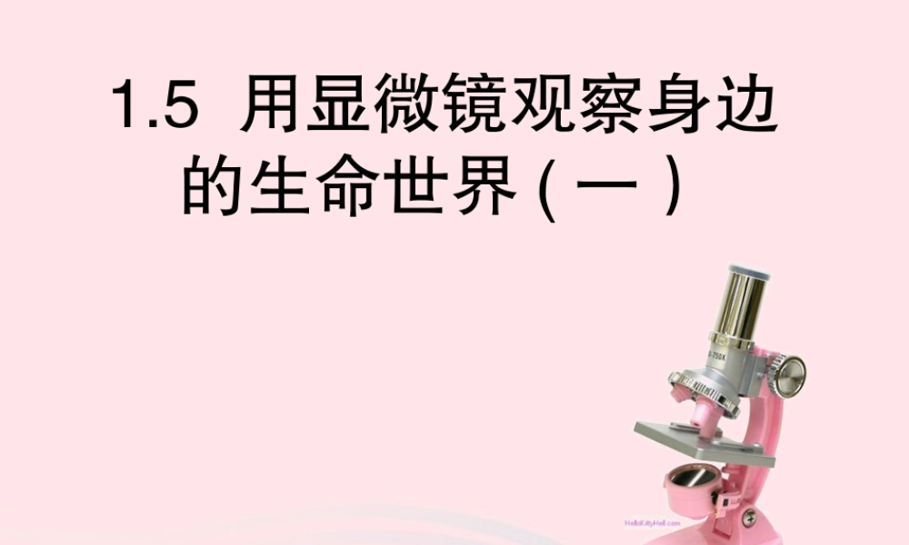 六年级科学下册 第一单元 微小世界 5 用显微镜观察身边的生命世界(一)课件4 教科版-教科版小学六年级下册自然科学课件