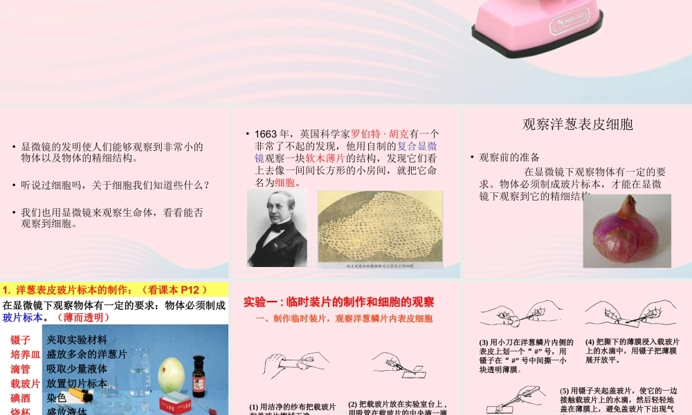 六年级科学下册 第一单元 微小世界 5 用显微镜观察身边的生命世界(一)课件4 教科版-教科版小学六年级下册自然科学课件