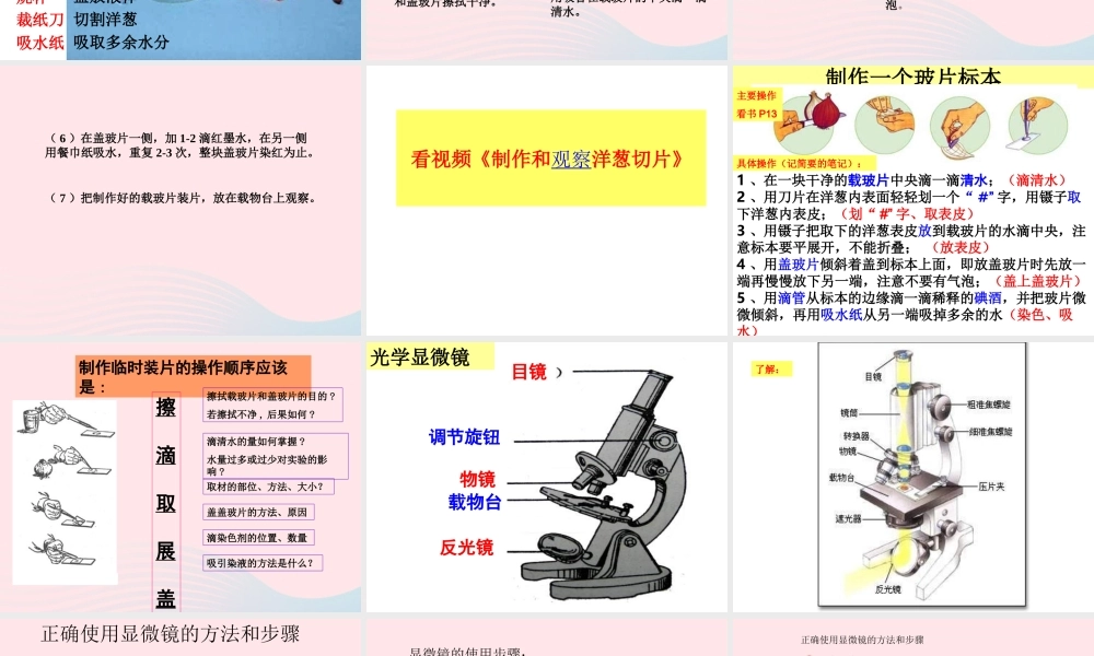 六年级科学下册 第一单元 微小世界 5 用显微镜观察身边的生命世界(一)课件4 教科版-教科版小学六年级下册自然科学课件