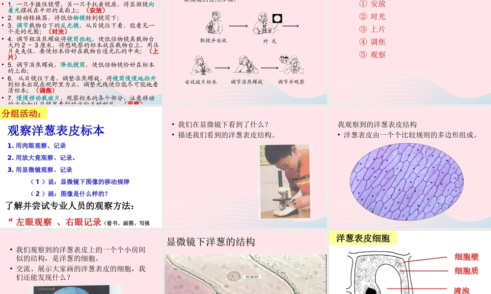 六年级科学下册 第一单元 微小世界 5 用显微镜观察身边的生命世界(一)课件4 教科版-教科版小学六年级下册自然科学课件