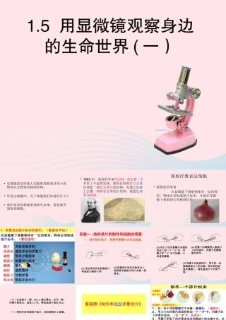 六年级科学下册 第一单元 微小世界 5 用显微镜观察身边的生命世界(一)课件4 教科版-教科版小学六年级下册自然科学课件