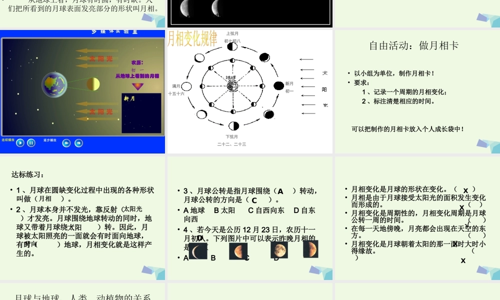 六年级科学上册 弯弯的月亮课件3 青岛版-青岛版小学六年级上册自然科学课件