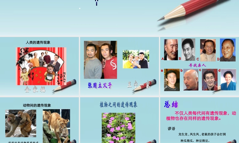 六年级科学下册 生物的遗传现象 1课件 苏教版