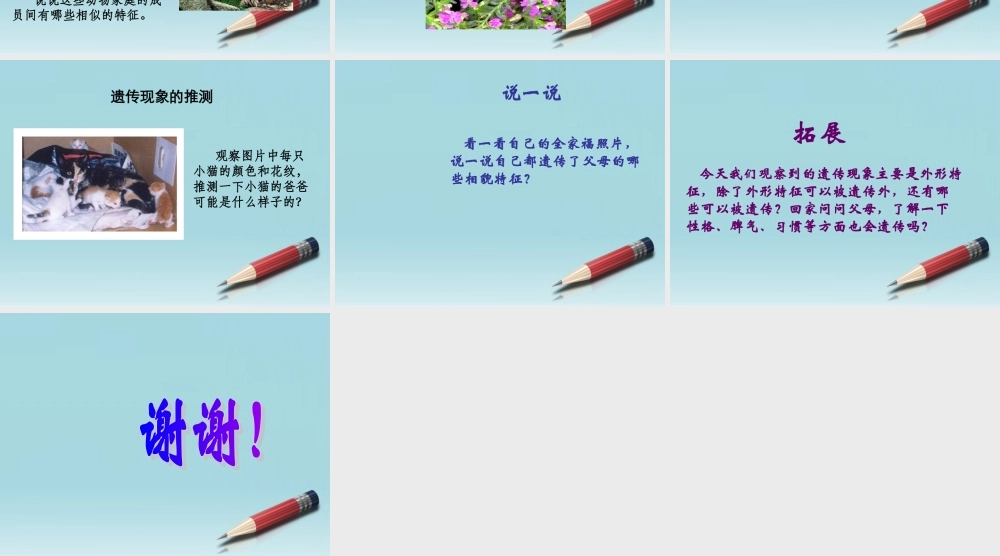 六年级科学下册 生物的遗传现象 1课件 苏教版