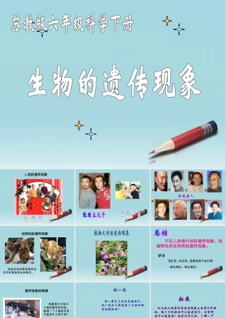 六年级科学下册 生物的遗传现象 1课件 苏教版