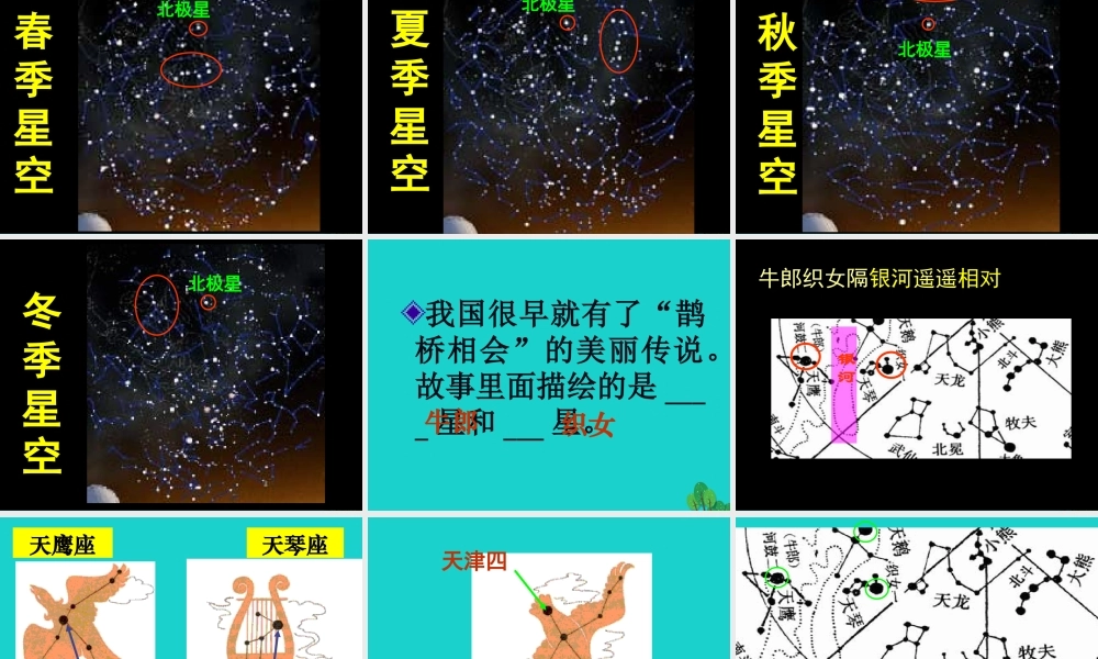 六年级科学上册 看星座课件4 苏教版-苏教版小学六年级上册自然科学课件