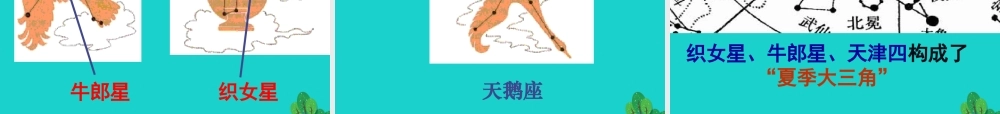 六年级科学上册 看星座课件4 苏教版-苏教版小学六年级上册自然科学课件