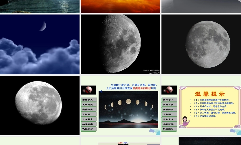 六年级科学上册 弯弯的月亮课件4 青岛版-青岛版小学六年级上册自然科学课件