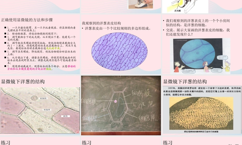 六年级科学下册 第一单元 微小世界 5 用显微镜观察身边的生命世界(一)课件5 教科版-教科版小学六年级下册自然科学课件