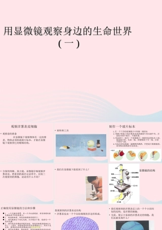 六年级科学下册 第一单元 微小世界 5 用显微镜观察身边的生命世界(一)课件5 教科版-教科版小学六年级下册自然科学课件