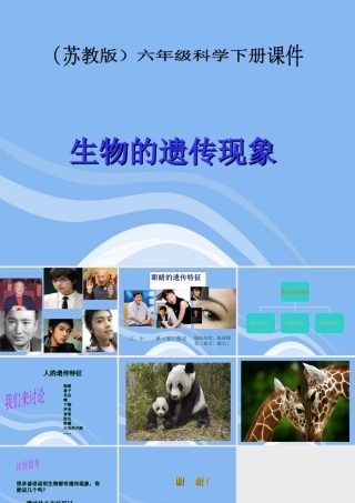 六年级科学下册 生物的遗传现象 2课件 苏教版