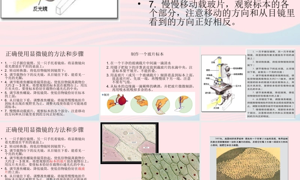 六年级科学下册 第一单元 微小世界 5 用显微镜观察身边的生命世界(一)课件6 教科版-教科版小学六年级下册自然科学课件