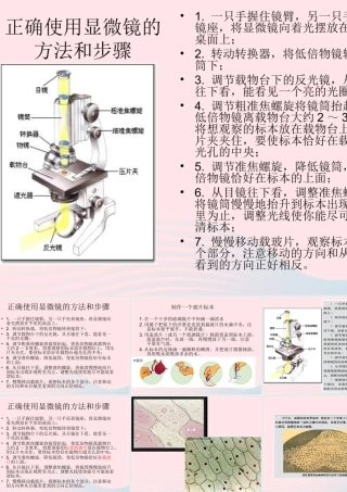 六年级科学下册 第一单元 微小世界 5 用显微镜观察身边的生命世界(一)课件6 教科版-教科版小学六年级下册自然科学课件