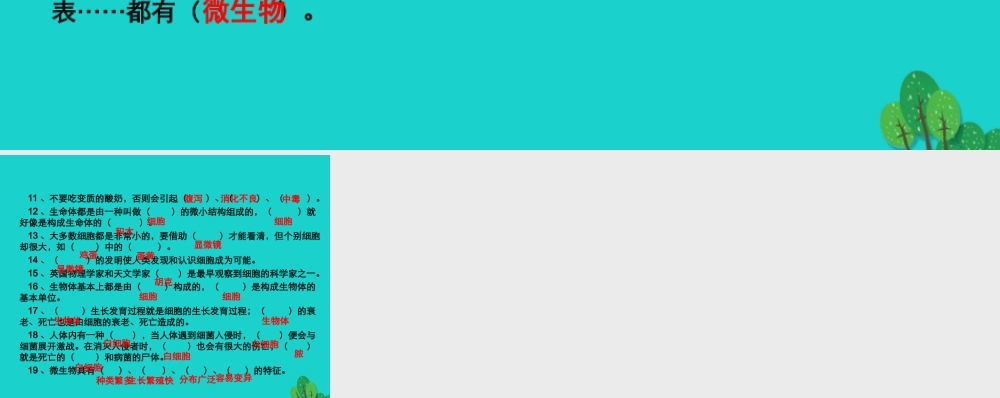 六年级科学上册 显微镜下的世界单元复习课件 苏教版-苏教版小学六年级上册自然科学课件