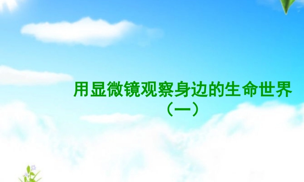 六年级科学下册 第一单元 微小世界 5 用显微镜观察身边的生命世界(一)课件7 教科版-教科版小学六年级下册自然科学课件