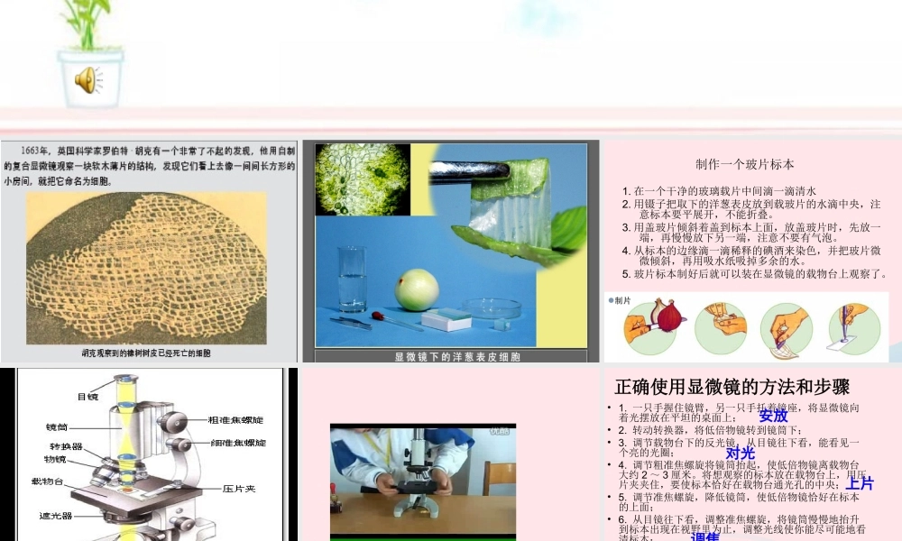 六年级科学下册 第一单元 微小世界 5 用显微镜观察身边的生命世界(一)课件7 教科版-教科版小学六年级下册自然科学课件