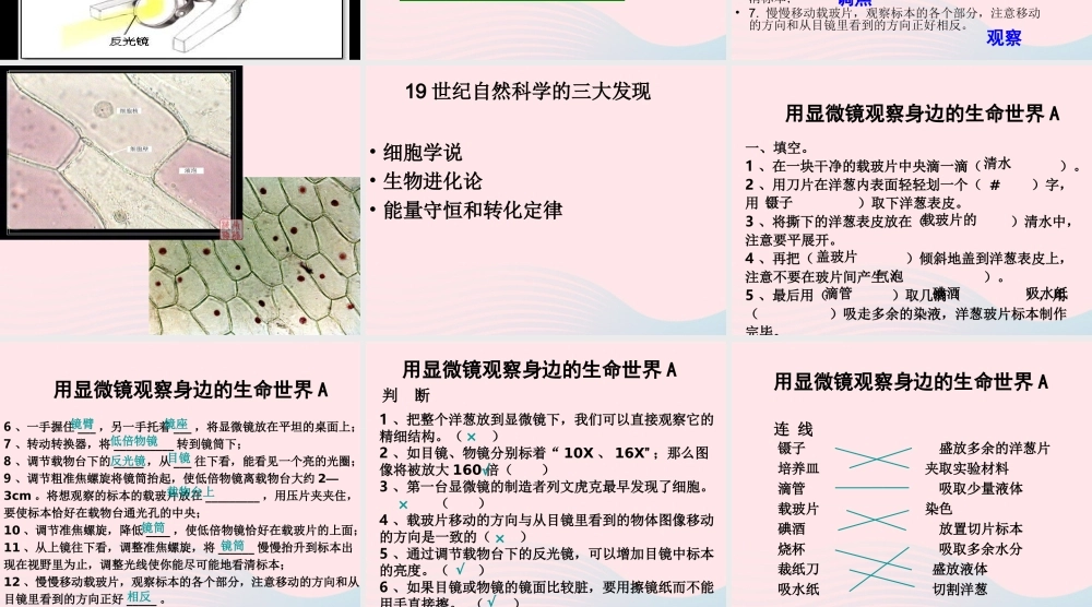 六年级科学下册 第一单元 微小世界 5 用显微镜观察身边的生命世界(一)课件7 教科版-教科版小学六年级下册自然科学课件