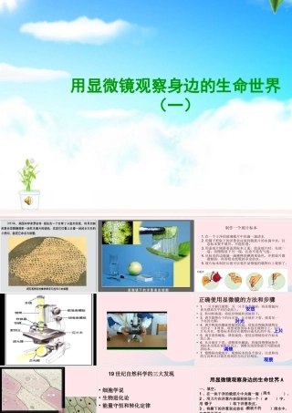 六年级科学下册 第一单元 微小世界 5 用显微镜观察身边的生命世界(一)课件7 教科版-教科版小学六年级下册自然科学课件