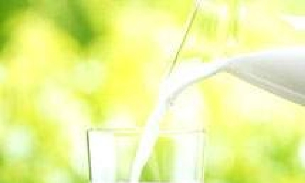 六年级科学上册 牛奶的变化课件2 青岛版-青岛版小学六年级上册自然科学课件