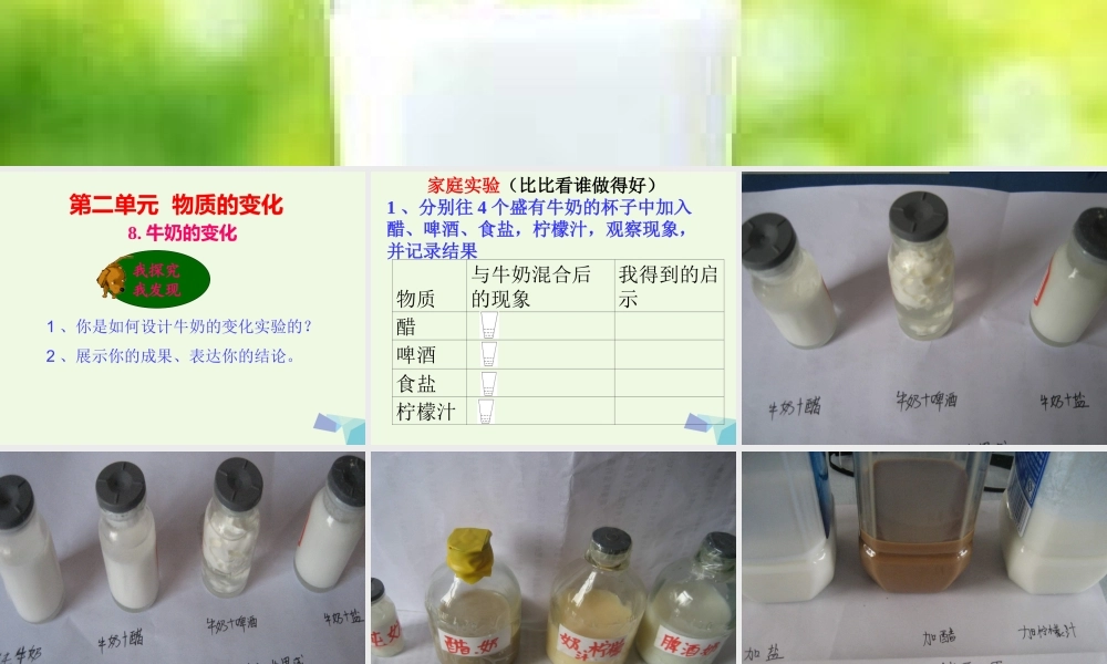 六年级科学上册 牛奶的变化课件2 青岛版-青岛版小学六年级上册自然科学课件
