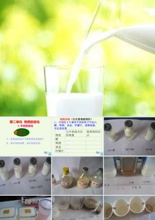 六年级科学上册 牛奶的变化课件2 青岛版-青岛版小学六年级上册自然科学课件