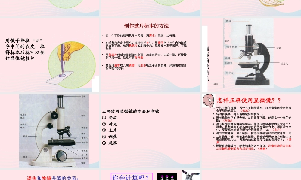 六年级科学下册 第一单元 微小世界 5 用显微镜观察身边的生命世界(一)课件8 教科版-教科版小学六年级下册自然科学课件